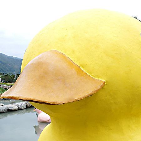 Bed and Breakfast 依比鴨鴨水岸會館 Ducking House Ruisui Esterno foto