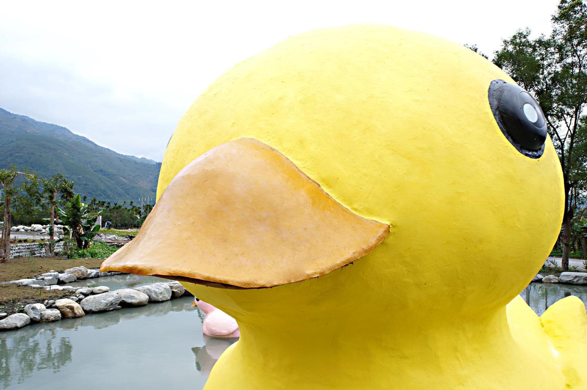 Bed and Breakfast 依比鴨鴨水岸會館 Ducking House Ruisui Esterno foto