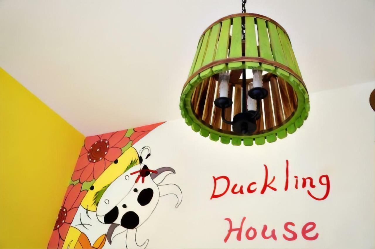 Bed and Breakfast 依比鴨鴨水岸會館 Ducking House Ruisui Esterno foto